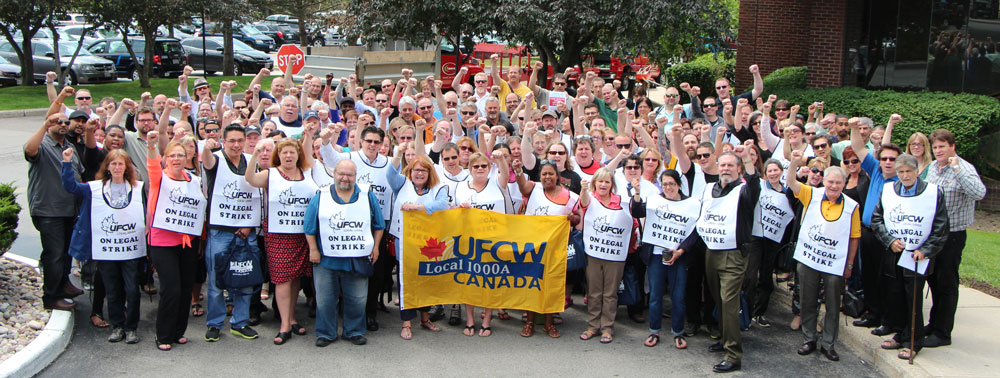 some-ufcw-1000a-loblaw-picket-captains-strike